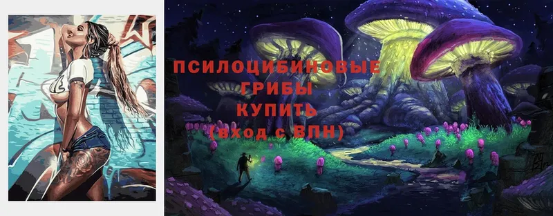 Псилоцибиновые грибы Magic Shrooms  нарко площадка какой сайт  Бобров 